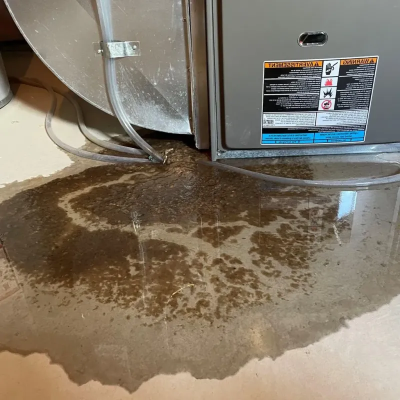 Pipe Burst and Leak Restoration in Bethlehem, WV