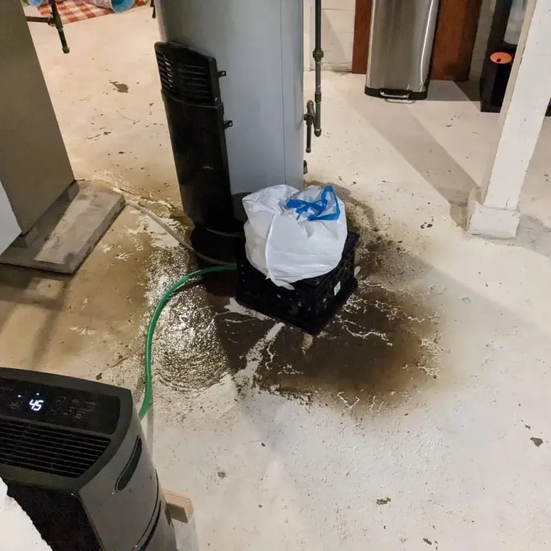 Sewage Backup Cleanup Service in Bethlehem, WV